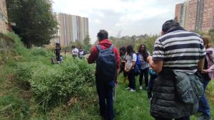 Calendario Ambiental 2024