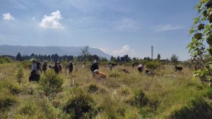 Calendario Ambiental 2023