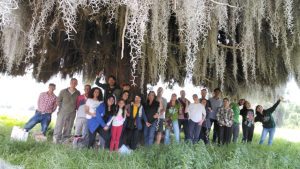 Calendario Ambiental 2025 – Somos micelio